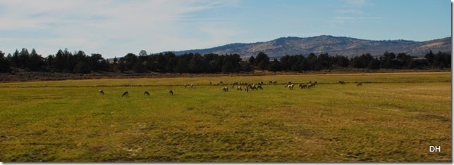 10-16-14 B Travel Border to Honey Lake 139-299-395-A3-395 (62)