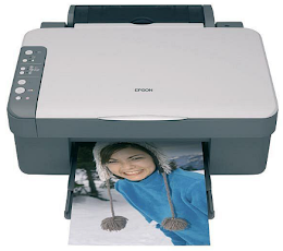 Epson Stylus DX3850