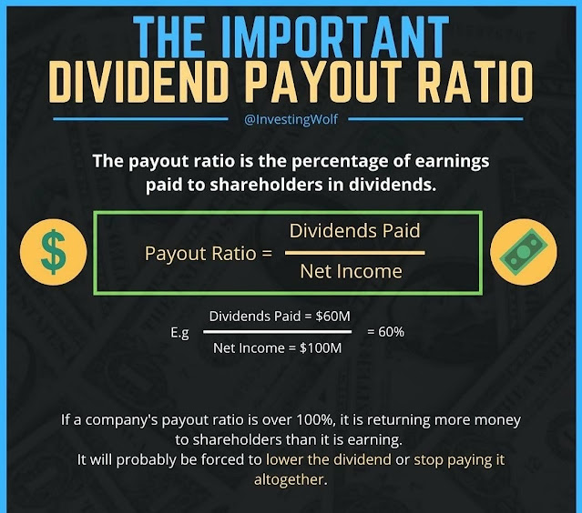 THE IMPORTANT DIVIDEND PAYOUT RATIO