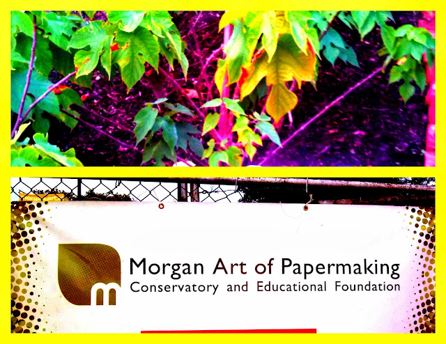 Morgan Conservatory: Paper Arts in CLE