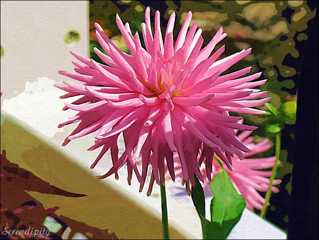 pink gouache