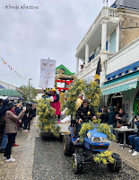 fête mimosa Saint-Trojan-les-Bains (17)