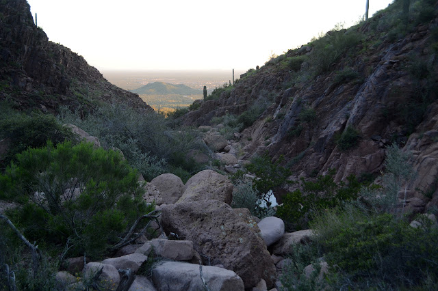 stagnant pool above the spring