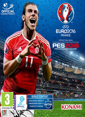 UEFA Euro 2016 France PC Games Download