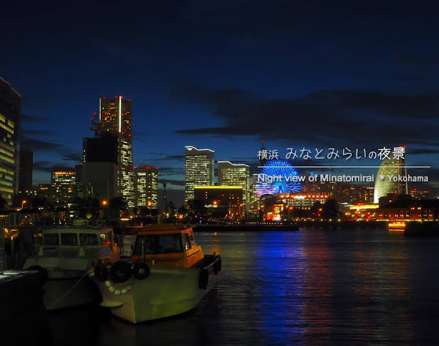 [横浜] 像の鼻パークの船着場から撮った夜景