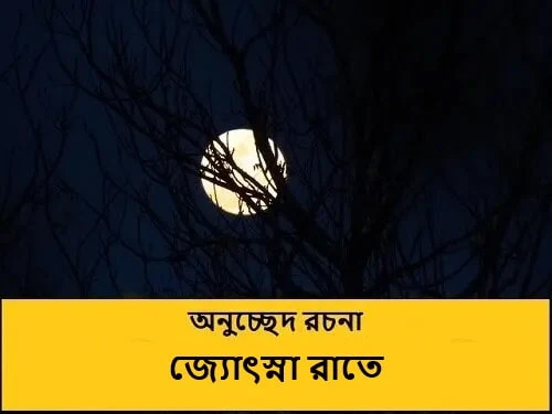 জ্যোৎস্না রাতে