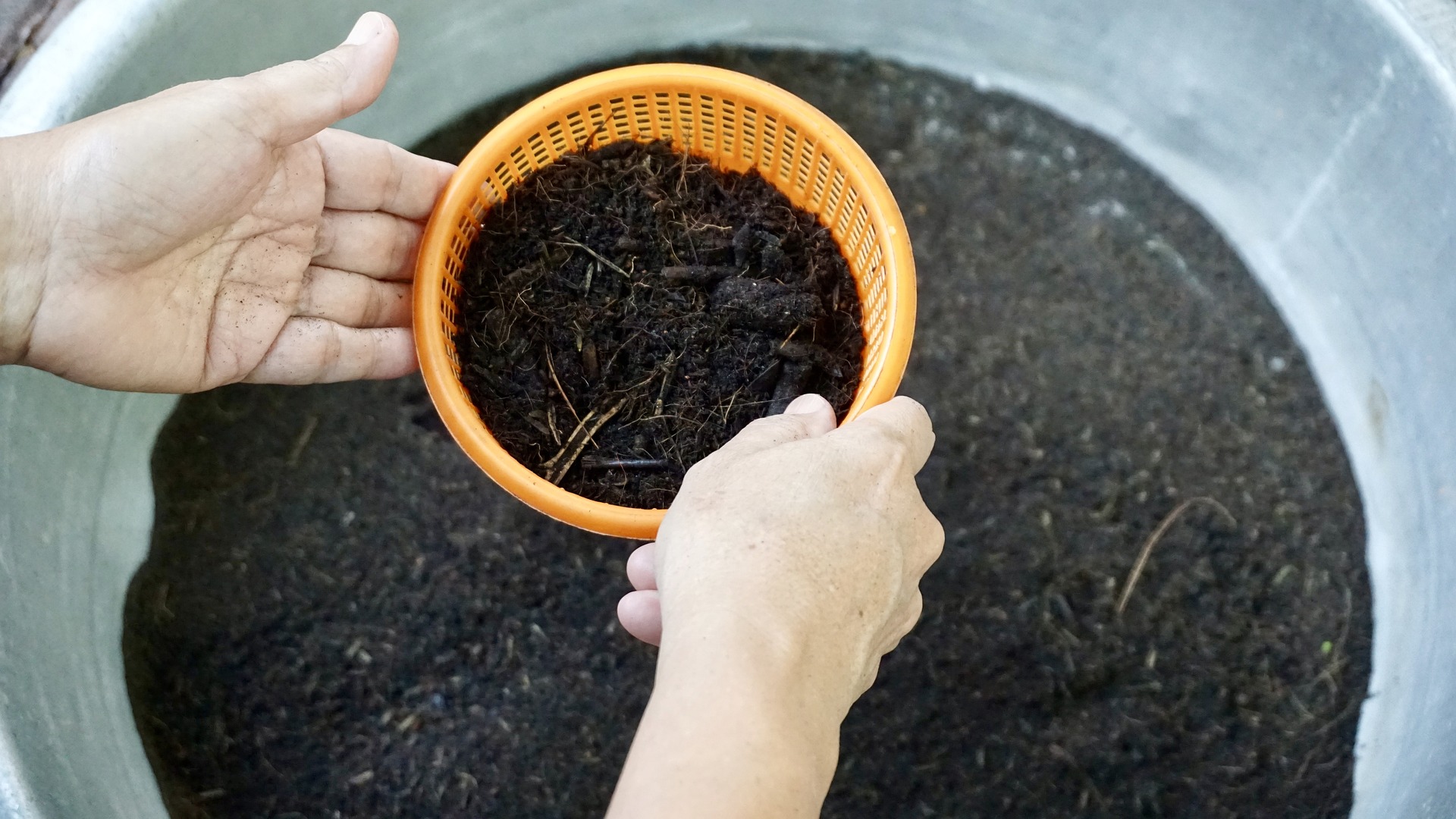 Basics of soil preparation for planting