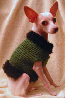 This dog sweater was featured on schroedersisters.com/guide/warm_fuzzies.htm