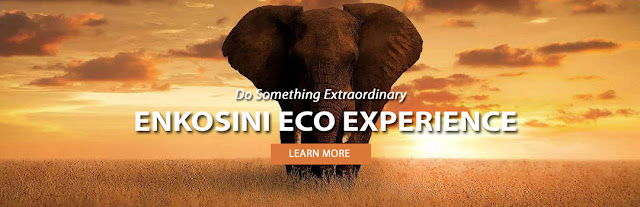 Enkosini Eco Experience Header - A Bull Elephant