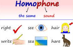 Lesson Plan Of Homophones English Grade Iv Effective And - 