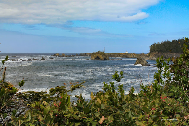 copyright RocDocTravel.com geology travel trips roadtrip Oregon coast Bandon beach