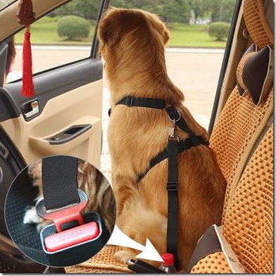 pet safety belt 