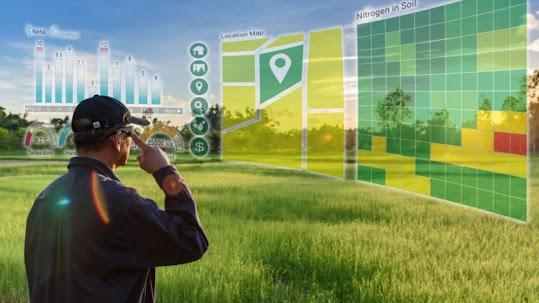 Remote Sensing and Satellite Imagery for Crop Monitoring