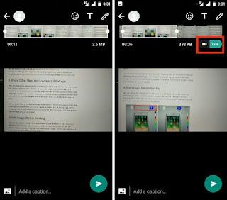 whatsapp gif file