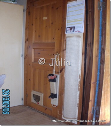 PICT1285
