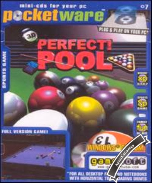 Perfect Pool 3D Cover, Poster