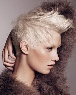 Short Female Hair Models Will Be Trend 2010