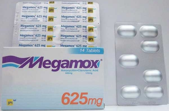 ميجا موكس Megamox مضاد حيوي لعلاج العدوى البكتيرية دكتور صيدلي