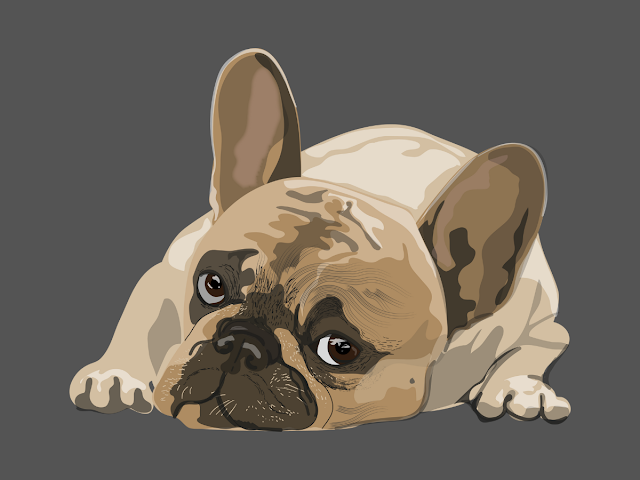The Complete Guide to Dog Exercise and Fitness