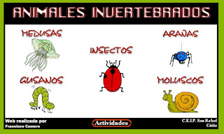  Animales invertebrados
