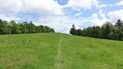 Flüchtiger Wiesenpfad zur Brandbergegg