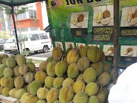 Musim durian kini kembali