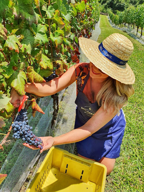 Blog Apaixonados por Viagens - Serra Gaúcha - Roteiro para curtir a Vindima