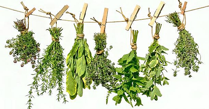 healing-herbs pemf