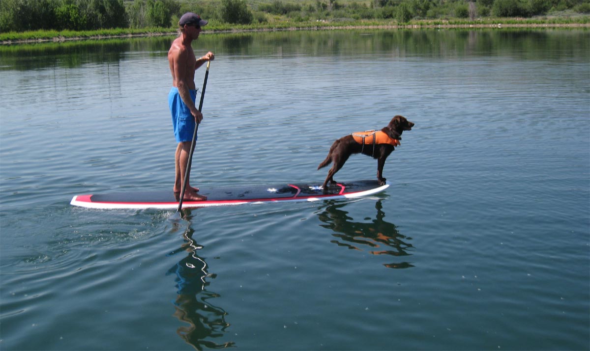 Paddleboard with paddle