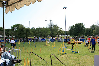 42º Trofeu de Agility