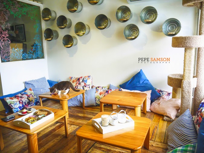 Attention Cat  Lovers Miao  Cat  Caf  Opens in Manila 