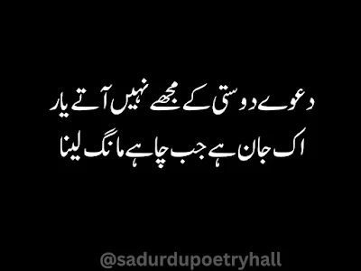 Poetry For Friend In Urdu