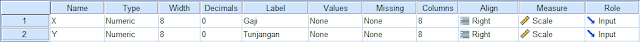 Tampilan variable view SPSS