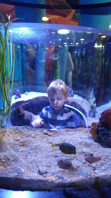 aquarium-play-area