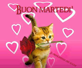 .Felice Martedì e Buona Giornata