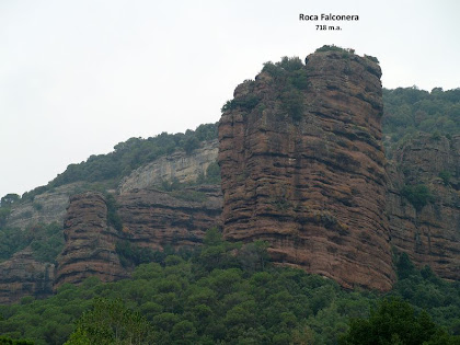 La Roca Falconera des del Mas La Font