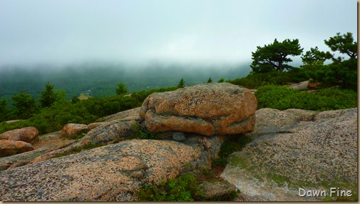 Gorham mt hike_070