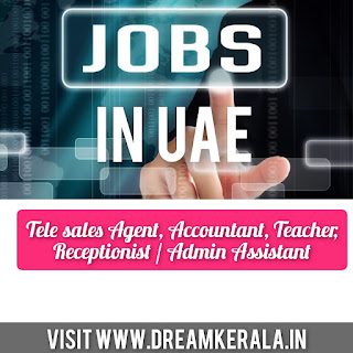 Tele sales Agent, Accountant, Teacher, Receptionist / Admin Assistant Jobs In UAE| Apply Now Via Email