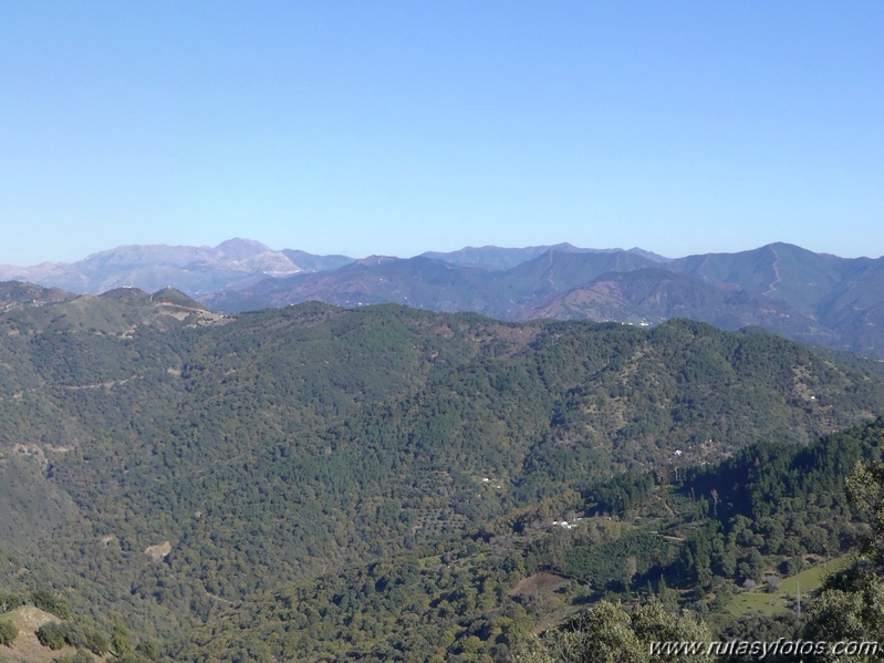 Sierra del Hacho (Gaucín)