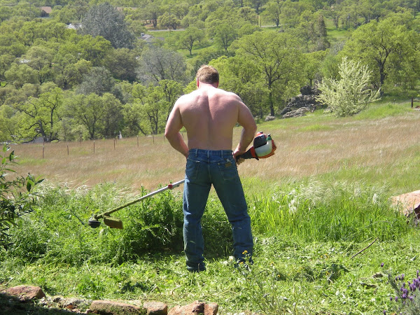 Jeremy tackling our yard!