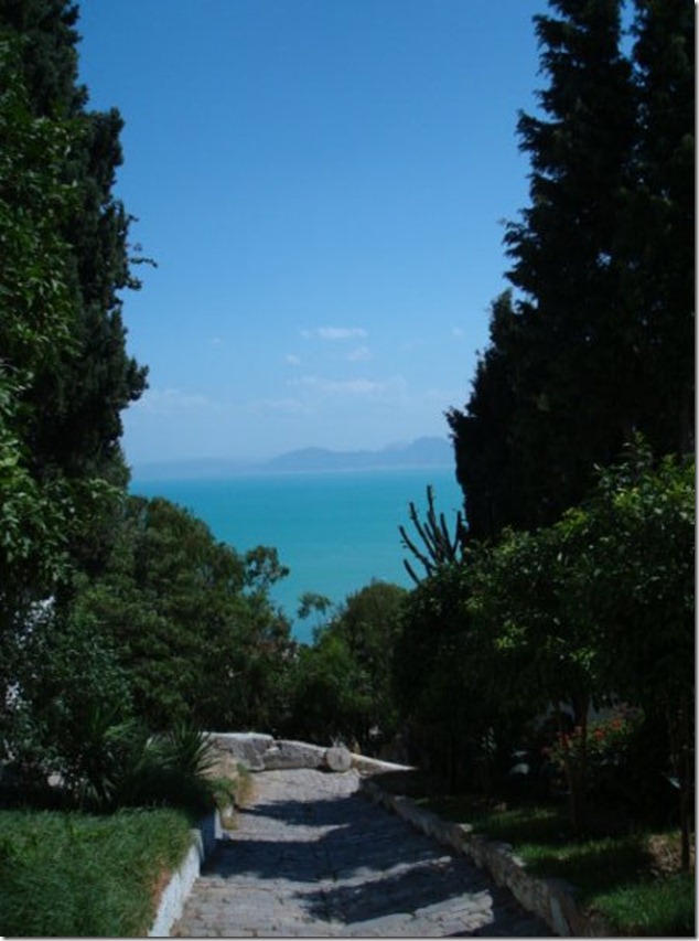 sidi bou said  (10)