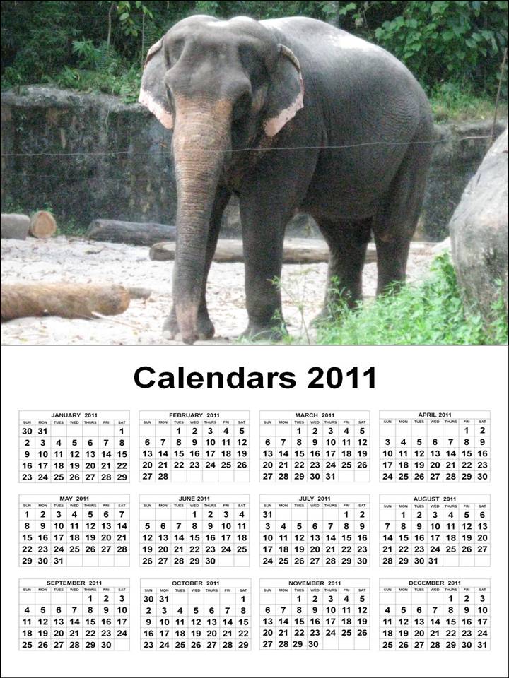 PRINTABLE YEAR 1 PAGE VIEW CALENDAR 2011