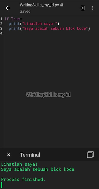 Contoh penggunaan kode if statement di Python