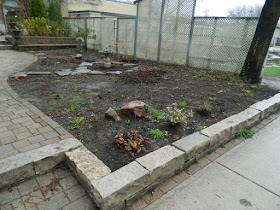 Summerhill Toronto New Front Garden Makeover Before by Paul Jung Gardening Services--a Toronto Gardening Services Company