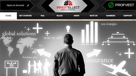 Кандидаты: Investellect – проект, с ТОПовым бонусом и шакарной страховкой