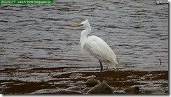 20150519_133602_566_JinSan