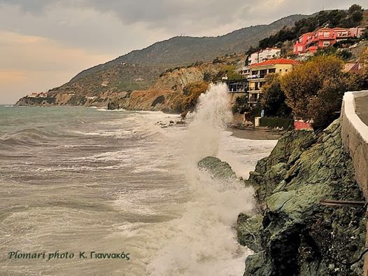 ΦΟΥΡΤΟΥΝΙΑΣΜΕΝΟ ΠΛΩΜΑΡΙ (ΑΜΟΥΔΕΛΙ)