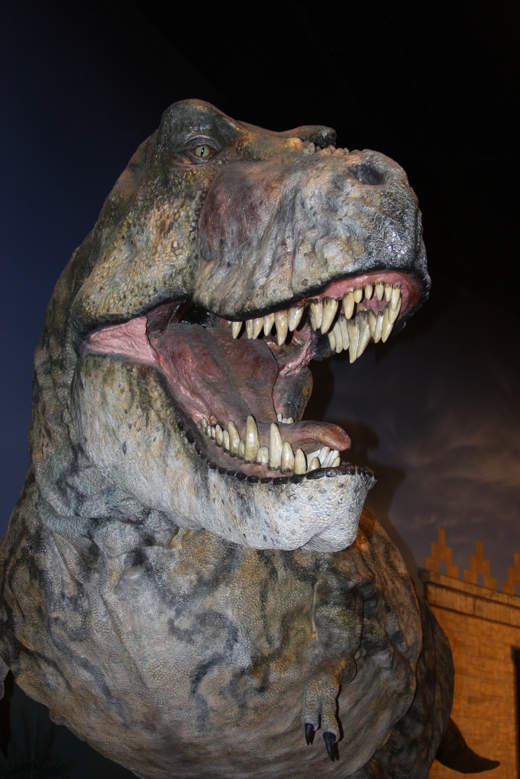 Be Thou Exalted: The Creation Museum ~ Petersburg, Kentucky