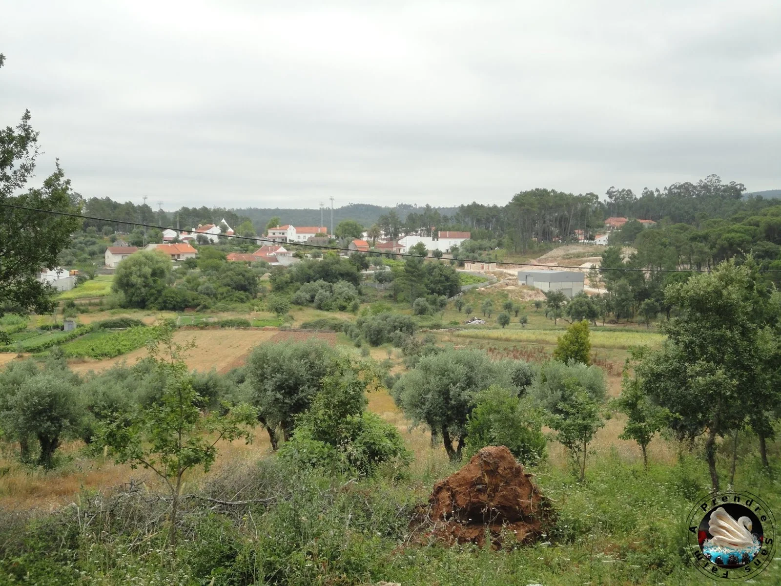 Recettes "Best of" vacances d'été au Portugal