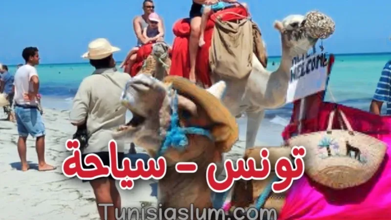 تونس سياحية